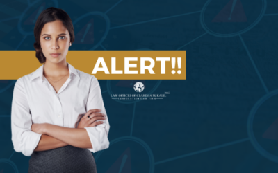 CUIDADO! para não confundir a obtenção da carteira de motorista nos Estados Unidos com uma falsa reivindicação de cidadania americana!