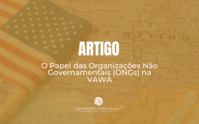 O Papel das Organizações Não Governamentais (ONGs) na VAWA