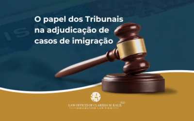 O papel dos tribunais na adjudicação de casos de imigração